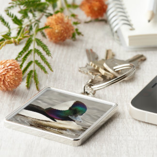 Llavero Curioso pato de cabeza de buey en el lago