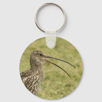 Llavero Curlew