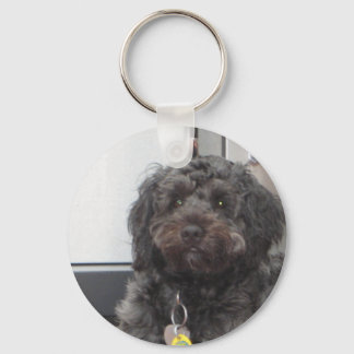 LLAVERO CURLEY KEY CHAIN
