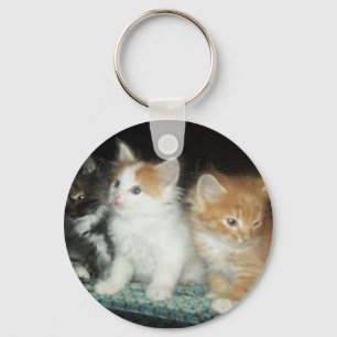 Llavero Curte Kittens Keychain