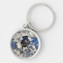 Cute Black Raven en la foto de la nieve