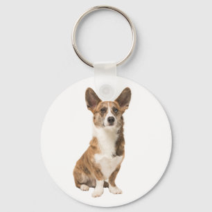 Llavero Cute Cardigan Welsh Corgi Puppy Perro
