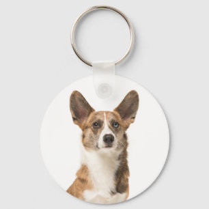Llavero Cute Cardigan Welsh Corgi Puppy Perro