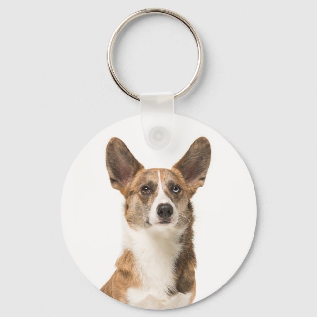 Llavero Cute Cardigan Welsh Corgi Puppy Perro (Anverso)