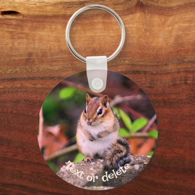 Llavero Cute Chipmunk On Rock Personalizado (Anverso)