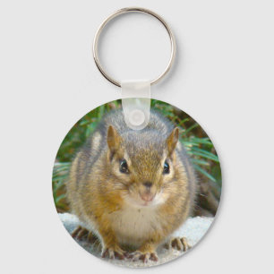 Llavero Cute Chipmunk Tiene La Vista En Ti