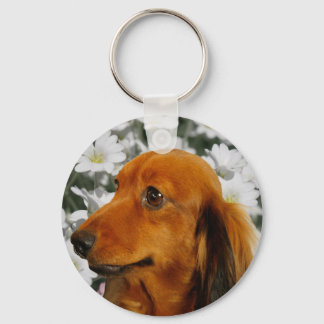 Llavero Cute Dachshund (marrón de larga duración) en las f