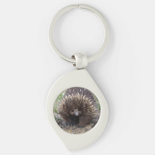 Llavero Cute Echidna de Australia