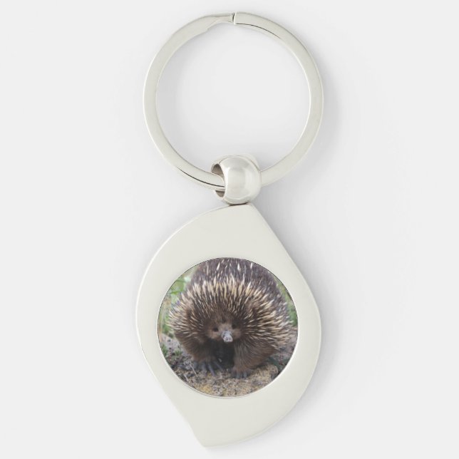 Llavero Cute Echidna de Australia (Anverso)