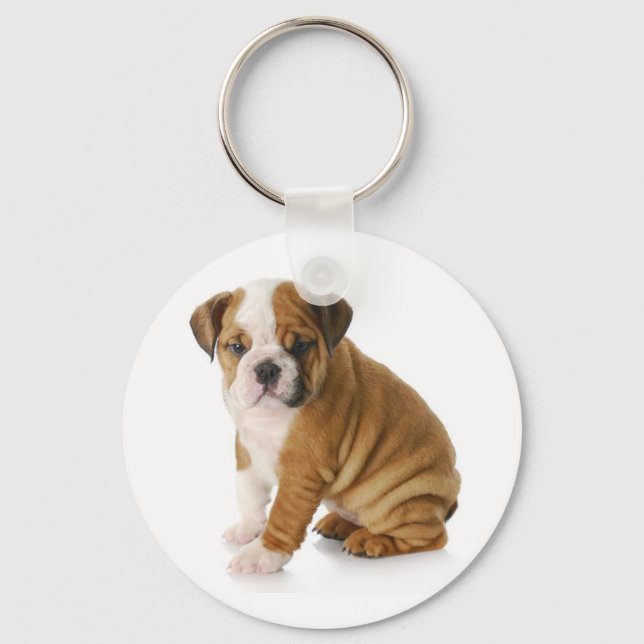 Llavero Cute English Bulldog Puppy Dog Keychain (Anverso)