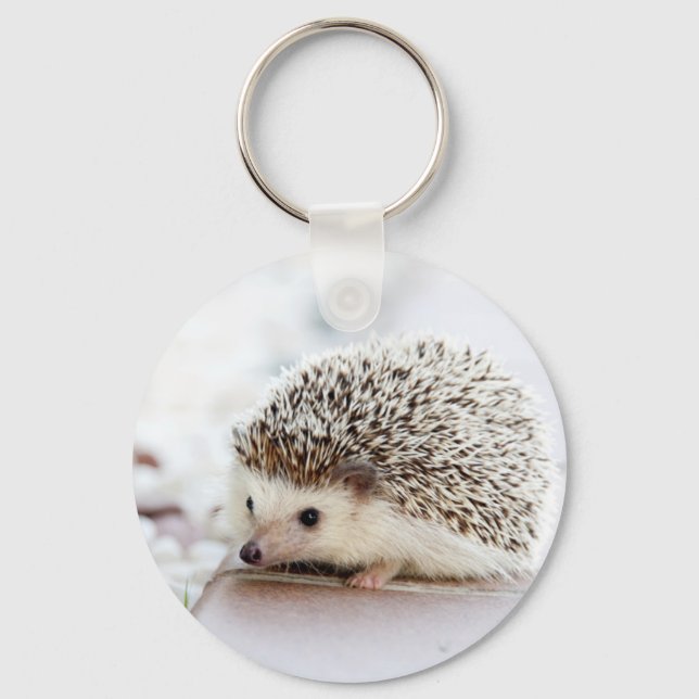 Llavero Cute Hedgehog (Anverso)