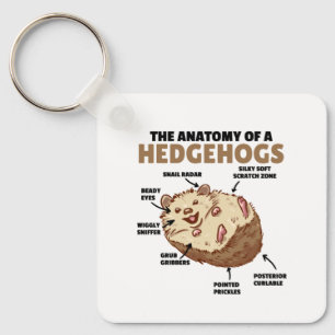 Llavero Cute Hedgehog Explanation Anatomy Of A Hedgehogs