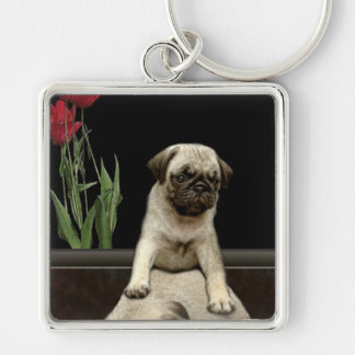 Llavero Cute Pug Puppy Dog Lovers Gift Series