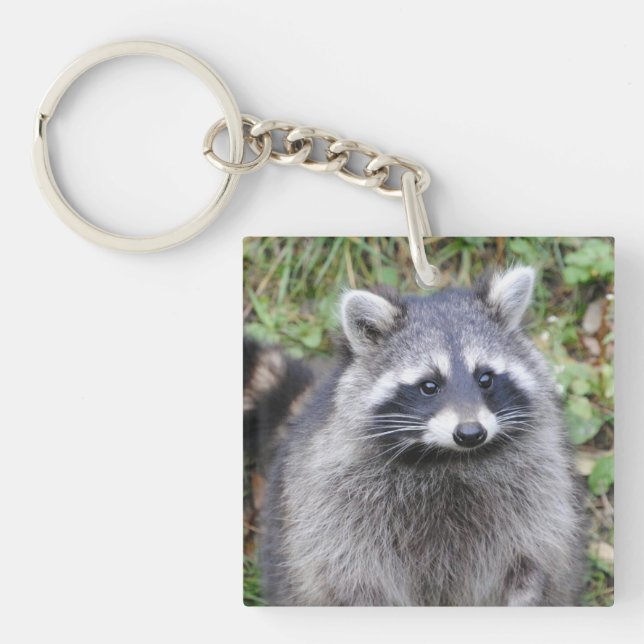 Llavero Cute Raccoon (Frente)
