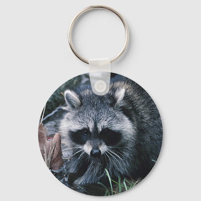 Llavero Cute Raccoon (Anverso)