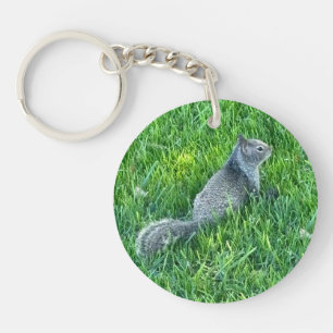 Llavero Cute Sciurini, Keychain acrílico