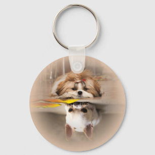 Llavero Cute shih tzu y chihuahua