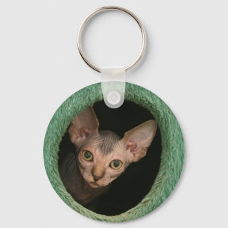 Llavero Cute sphynx kitten