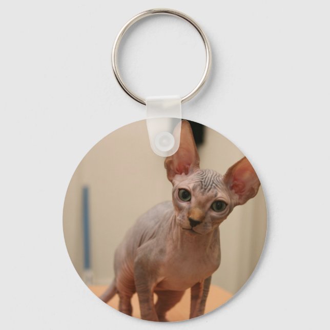 Llavero Cute sphynx kitten "Soy furor, ¿verdad?" (Anverso)
