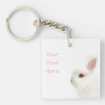 Cute White Dwart Rabbit Delicate Oars Mascota Sitt