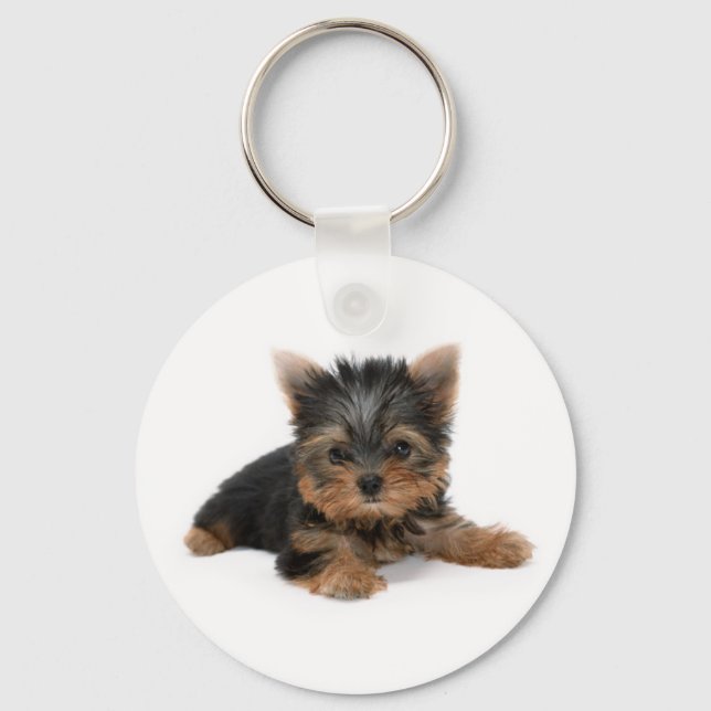 Llavero Cute Yorkshire Terrier Puppy (Anverso)