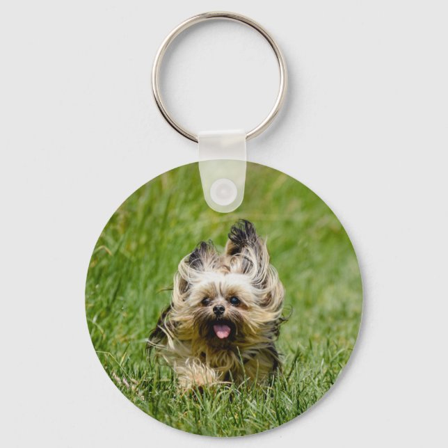Llavero Cute Yorkshire Terrier Running Through Grass (Anverso)