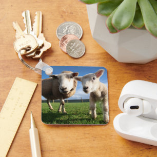 Llavero Cutest Baby Animals   Newborn Lamb & Mama