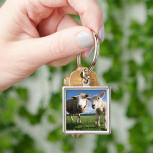 Llavero Cutest Baby Animals   Newborn Lamb & Mama