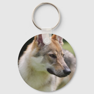 Llavero Czechoslovakian Wolfdog