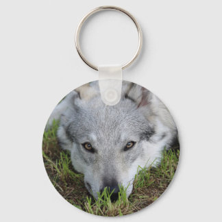 Llavero Czechoslovakian Wolfdog