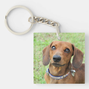 Llavero Dachshund