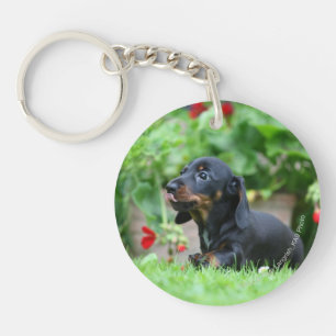 Llavero Dachshund en miniatura de cabello liso 1