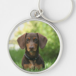 Llavero Dachshund Keychain