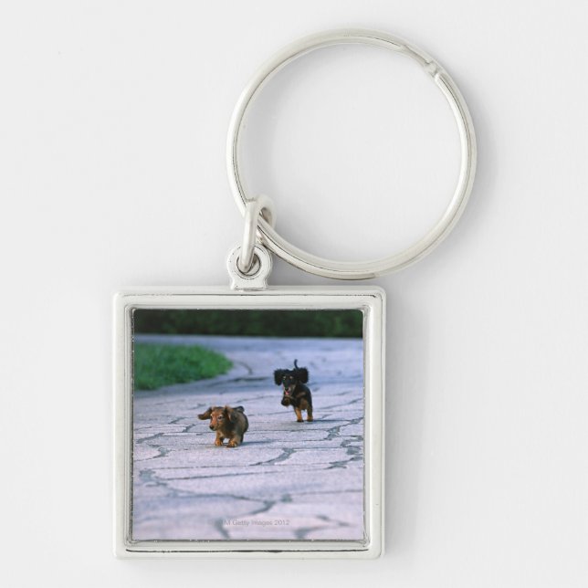 Llavero Dachshund miniatura 3 (Frente)