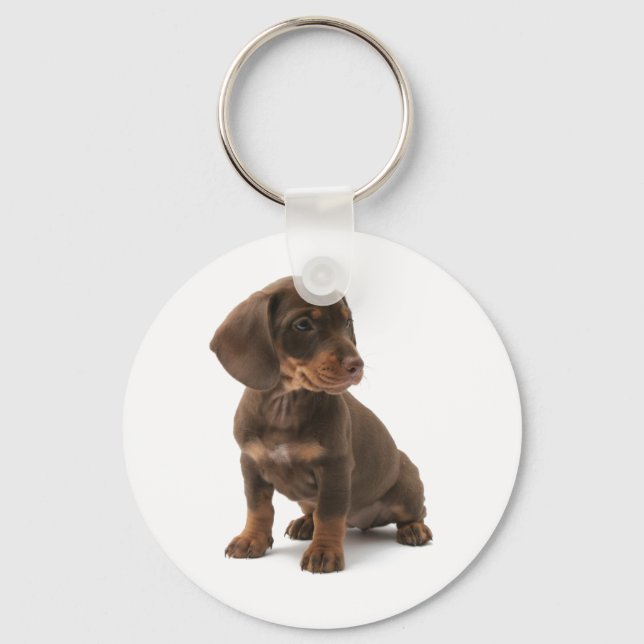 Llavero Dachshund Puppy Keychain (Anverso)