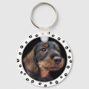 Llavero Dachshund Puppy Photo Keychain