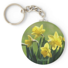 ¡Daffodils de primavera!