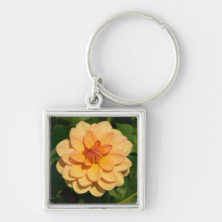 Llavero Dahlia 'David Howard