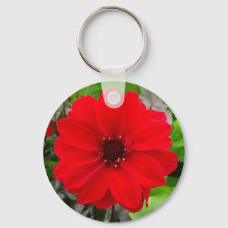 Llavero Dahlia - Obispo de Llandaff