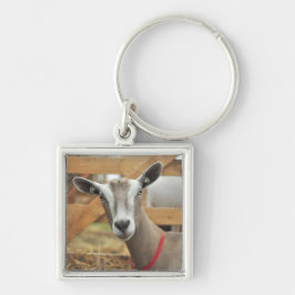 Llavero Dairy Goat Doe