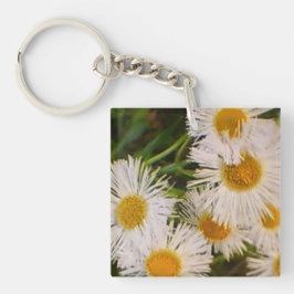 Llavero Daisy