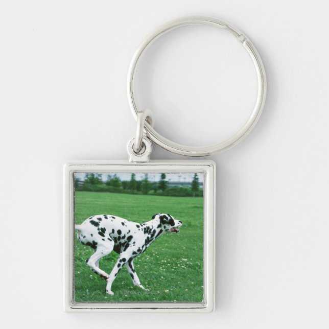 Llavero Dalmatian (Frente)