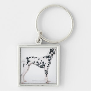 Llavero Dalmatian 3