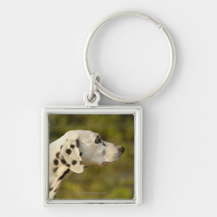 Llavero Dalmatian 4