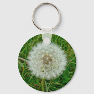 Llavero Dandelion Products