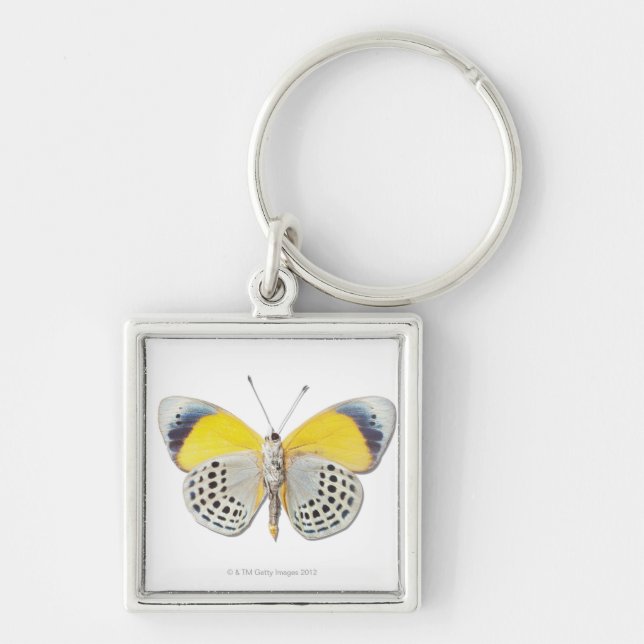 Llavero Davisi de Calithea (Frente)