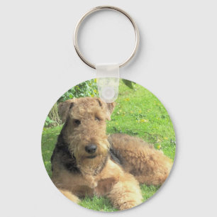 Llavero de Airedale Terrier