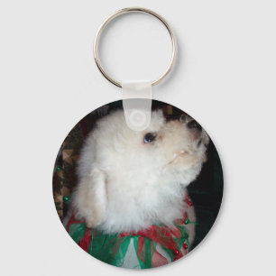 Llavero de Bichon Frise