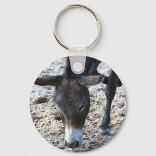 Llavero de burro