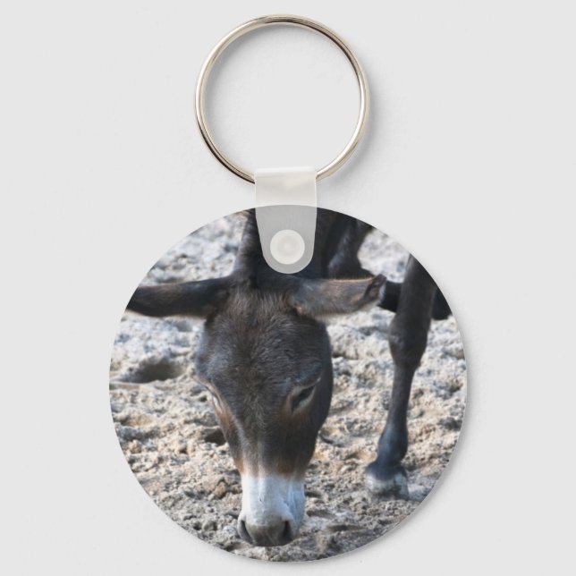 Llavero de burro (Anverso)
